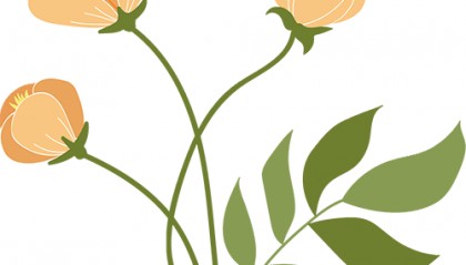 新电子税局增值税申报缴款操作指引