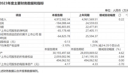 天茂集团发布业绩快报：2023年度净利润-6.5亿 一季度业绩持续承压