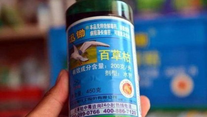 “百草枯之父”李德军：百草枯卖了多少年，我就愧疚了多少年！