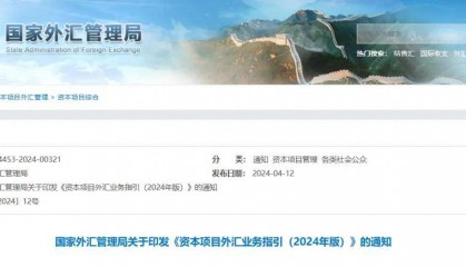 2024版《资本项目外汇业务指引》解读