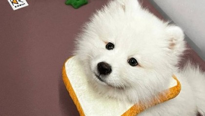 现在哪里可以办电销卡？