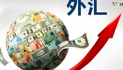 私自兑换外汇，违法吗