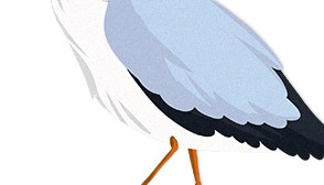 kvb外汇平台简介