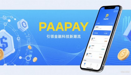 Paapay USDT API支付通道来袭，仅0.5%手续费实现自动归集账户！