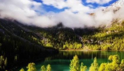 NCE外汇：提升外汇交易技能的必备平台