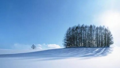 NCE平台：外汇交易的技术先锋与黑平台的警示