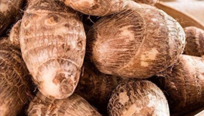 芋头到底是升尿酸还是降尿酸？痛风病人能吃芋头吗？告诉你真相