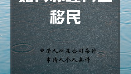 如何办理荷兰移民