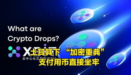 凌晨币圈又一重磅炸弹！土耳其下 “加密重典”，支付用币直接坐牢