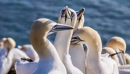 凤阳县鑫云科技有限公司成立 注册资本20万人民币