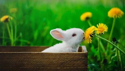 淘宝买的饰品能邮寄国外吗？