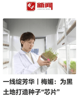 黑龙江日报社会责任报告（2024年度）