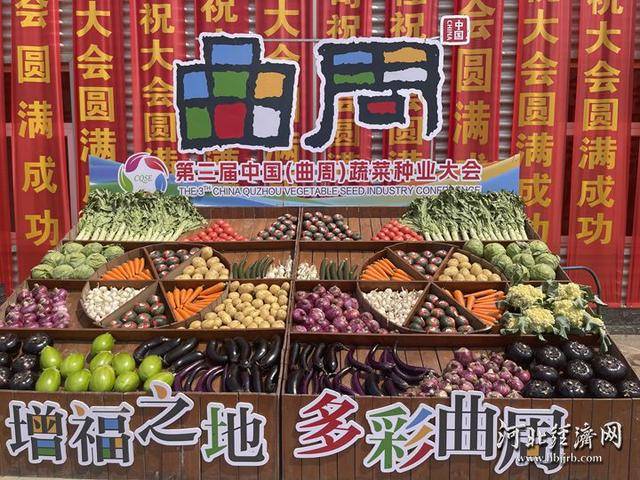 长城观察 | 曲周10亿株“科技苗”15省落地生根