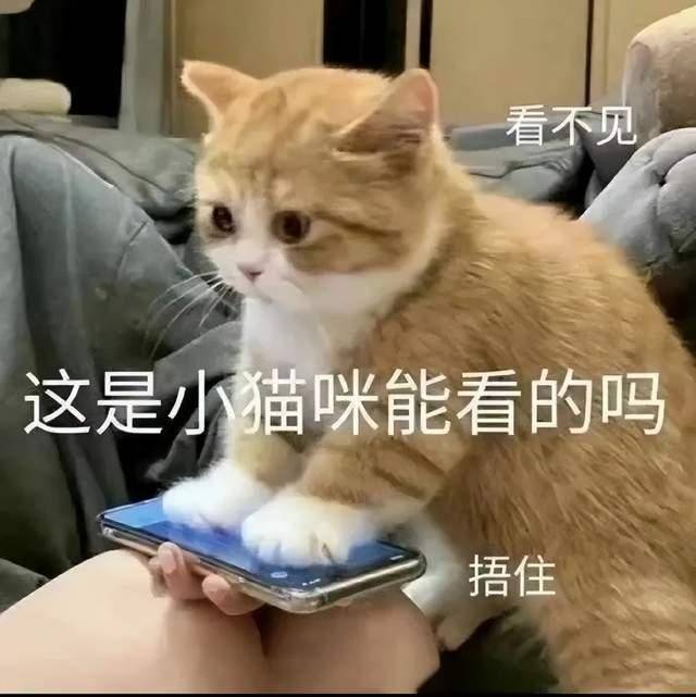 警察：我的母语是无语