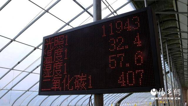 子洲县中药材智慧大棚育苗：科技赋能 开启产业新篇章