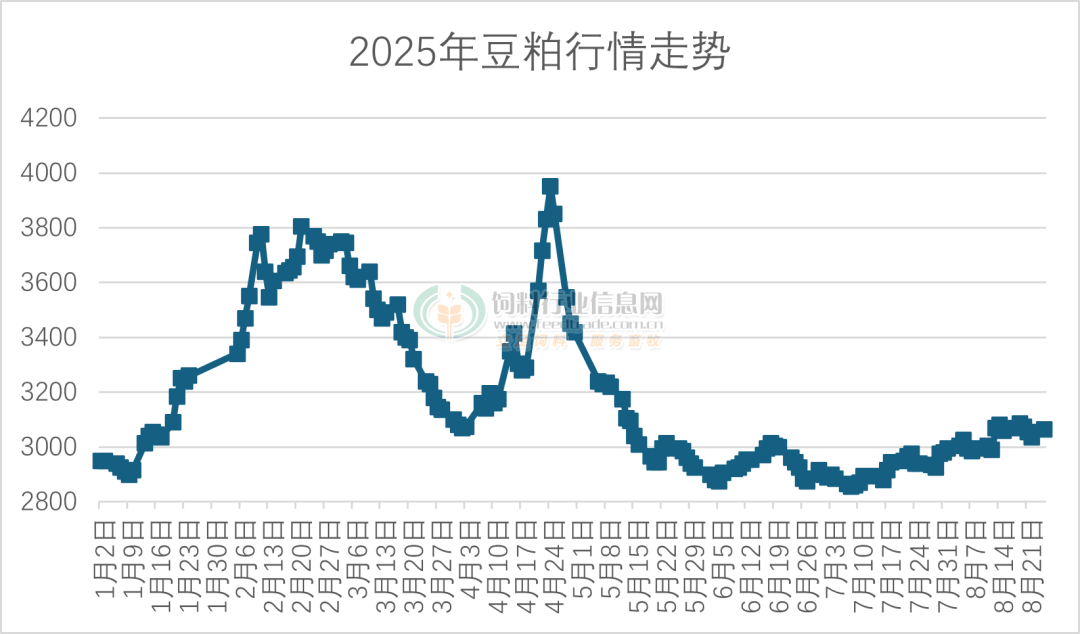 今日豆粕最新价格来袭！