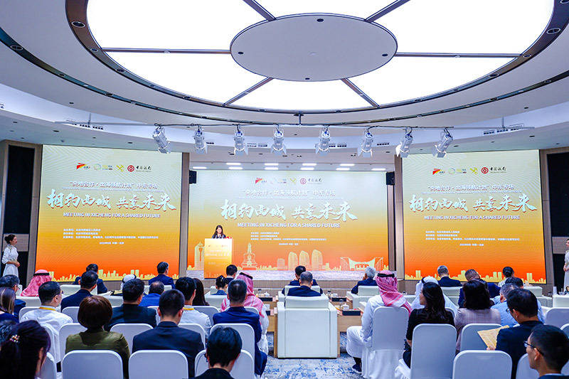 北京西城举办“央地合作·出海领航计划”中东专场活动