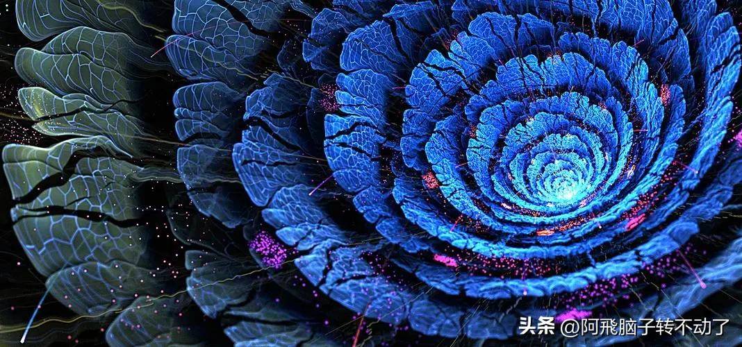 逐梦影视圈：新手从零基础到入行，快速入门的修炼秘籍