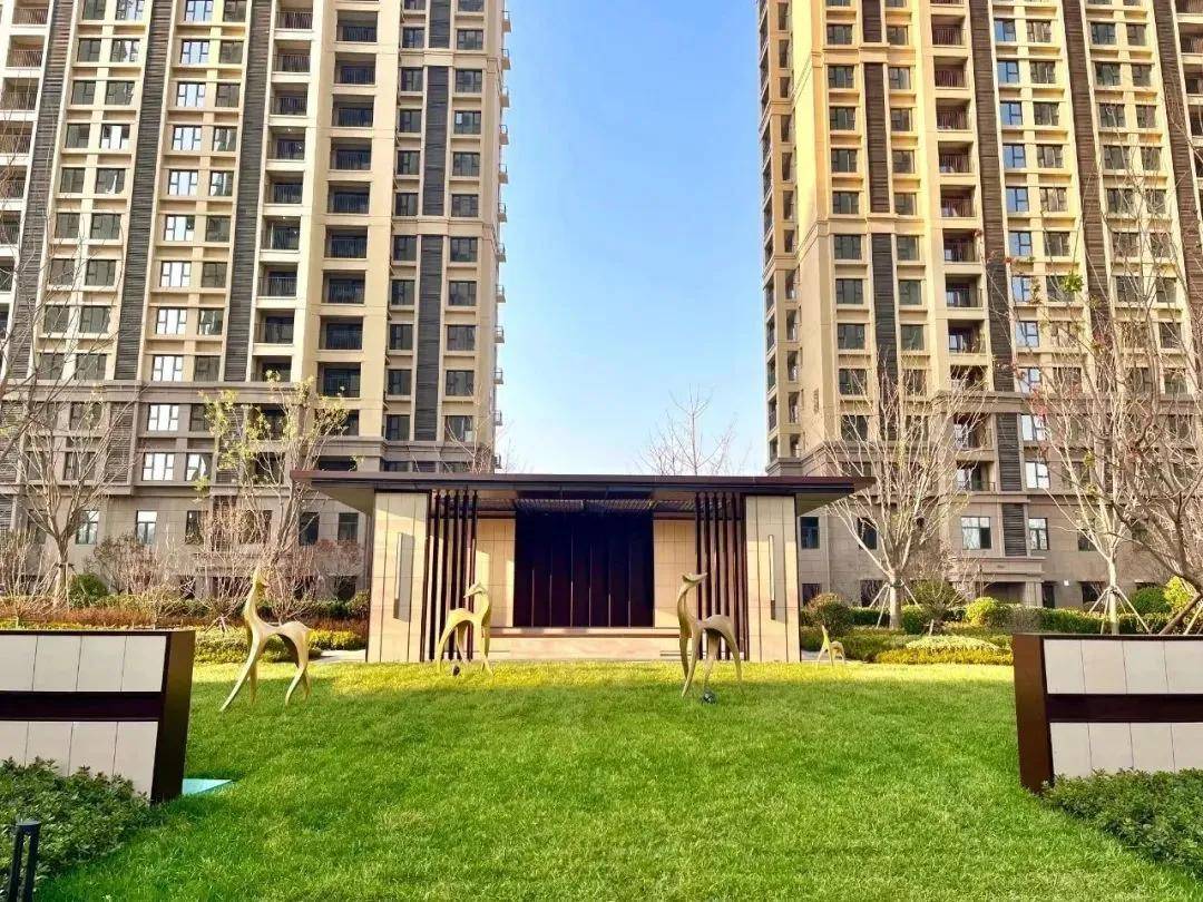 青岛房子,能买吗?