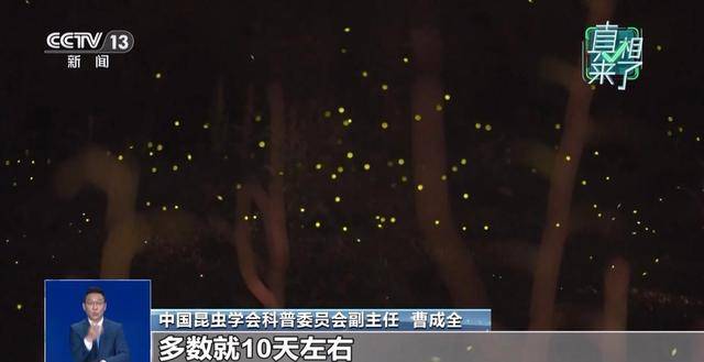 网传萤火虫濒临灭绝是真的吗？