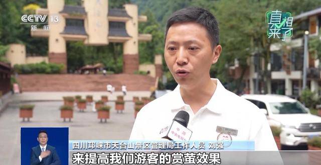 网传萤火虫濒临灭绝是真的吗？